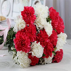 Carnations